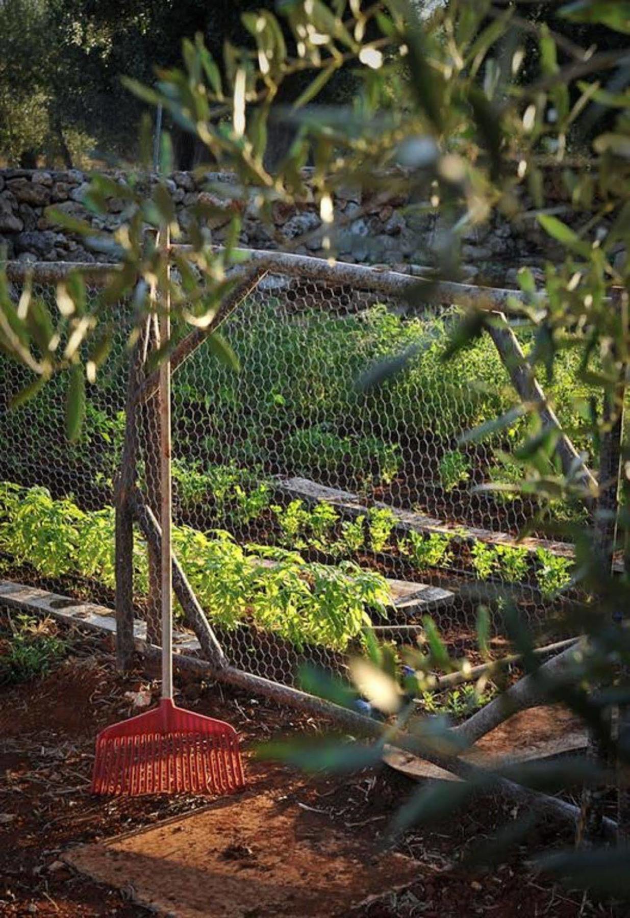 Masseria Piccapicca Morciano di Leuca Eksteriør bilde
